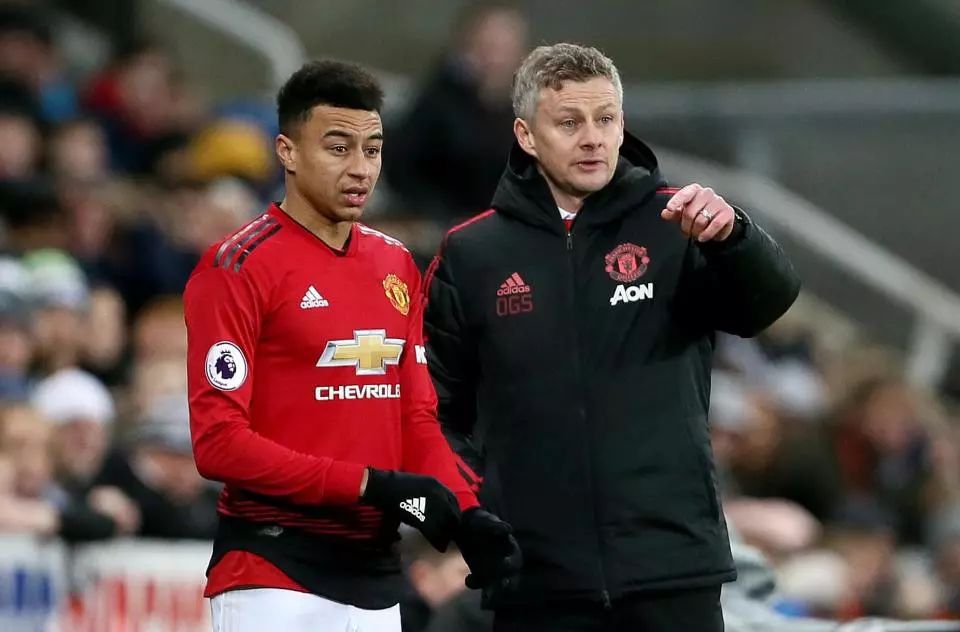 俘获了无数 俘获了无数